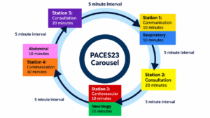 Paces Exam Pattern